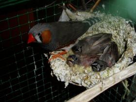 photo coins arrondis